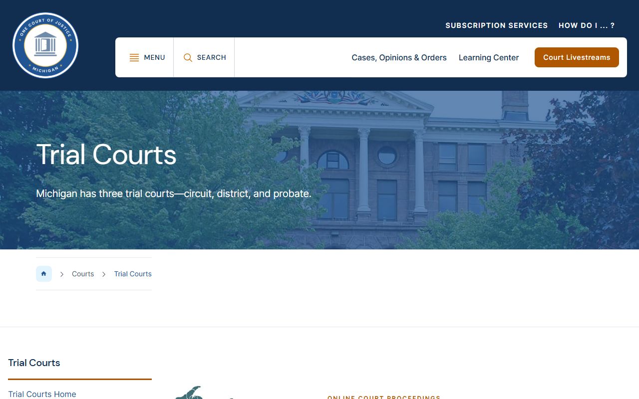 Berrien County court dockets follow the Michigan trial-court structure for circuit and district cases